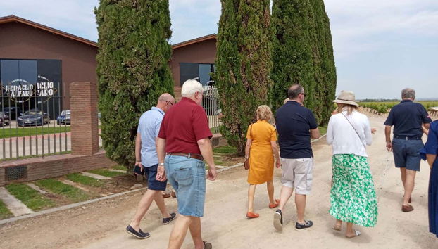 Visita guidata di Vinos Heraclio Alfaro