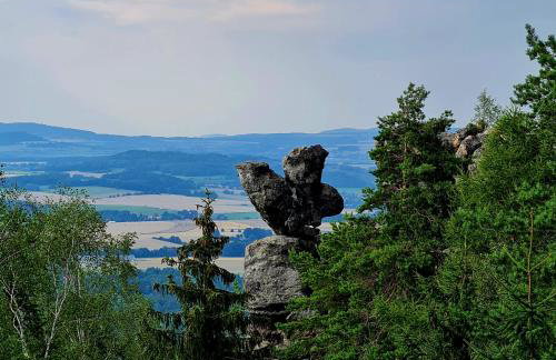 Urlaubsdomizil Am Töpfer - Ferienwohnungen in Olbersdorf - Foto 74