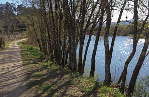 GoToGeres - Casa da Piscina - Casas de Alem - Foto 29