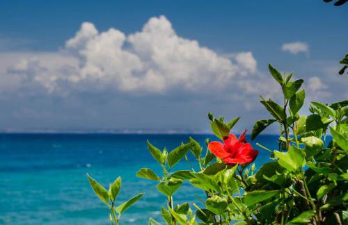 Plaka Studios - Foto 80