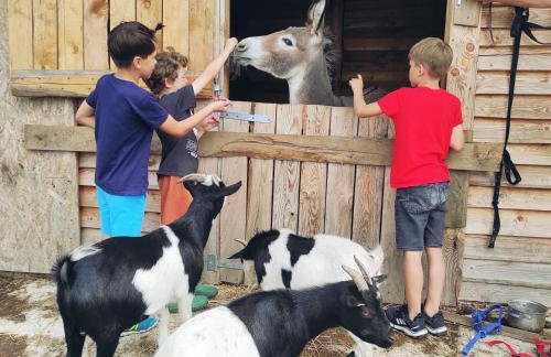 Agroturystyka Nad Łąkami - Foto 9