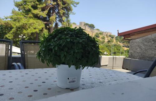 Matinas House - Foto 31