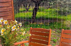 NICOL's HOUSE - Foto 14