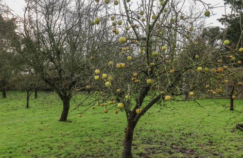 Winston Hall - Photo 58