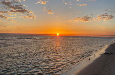 Beach Bungalow, 3 Min Walk to Beach, Golf Cart, 4 bikes, Wagon - Foto 29