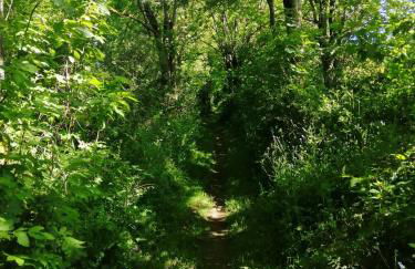 Le Gîte de L'Adrech - Foto 17