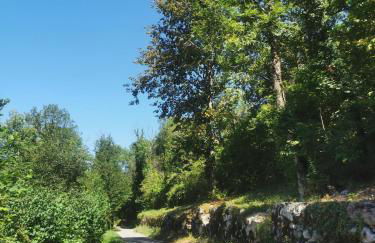 Studio Verthier - Foto 15