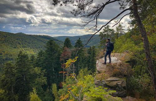 L’Atelier de Gustave - Foto 47