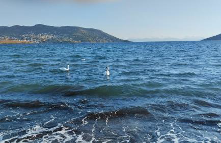 Artemis sea house - Foto 40