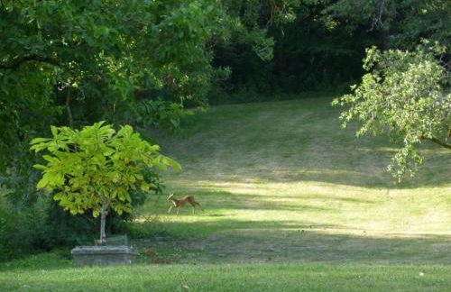 Tour Rouge Gites - Foto 18