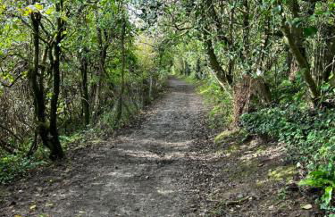 Elm Rise Place - Photo 9