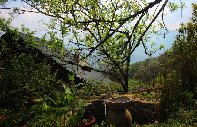 Chapi Dreamy Home - Foto 63