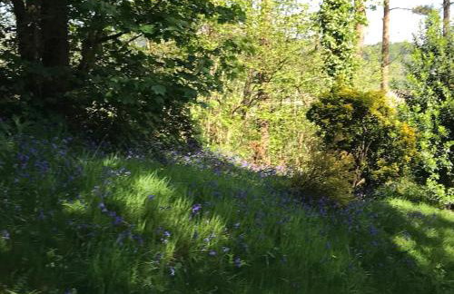 Lodge with log burner Contractors business private parking free Wi-Fi near M4 - Foto 79