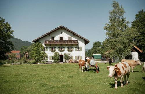 Biohof Dimper - KuhHorn - Foto 15