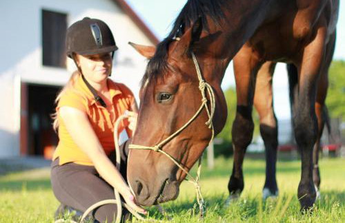 Ośrodek Wypoczynkowo Sportowy Pod Żurawiem - Foto 20