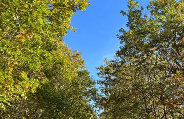 West Cumbria static caravan - Foto 14