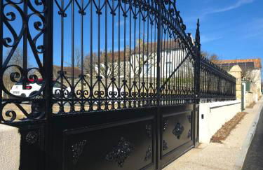 L'arbre de soie Futuroscope Acacia - Foto 48