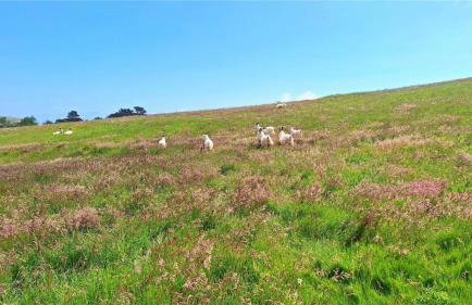 Amarons Nest - Cosy little house on Great Orme - Foto 27