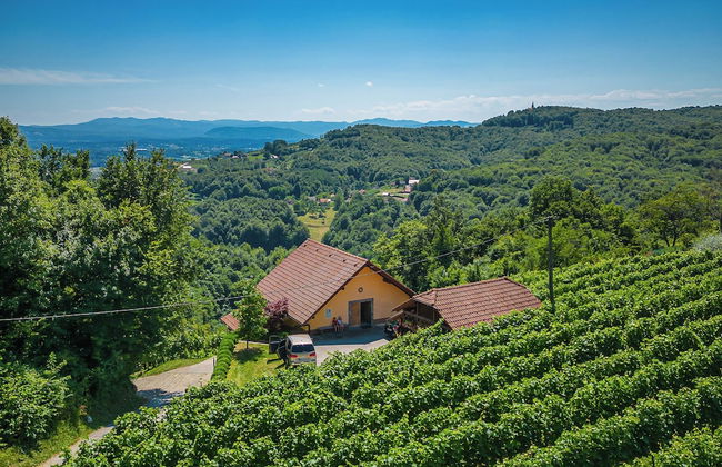 Vineyard Cottage Ucman - Foto 15