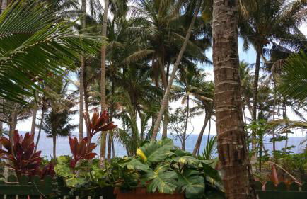 Nice Studio w/ AC near Kehena Beach and lava fields - Foto 25