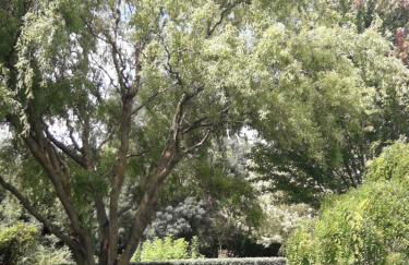 Logis de LANGE studio 2 p - Foto 46