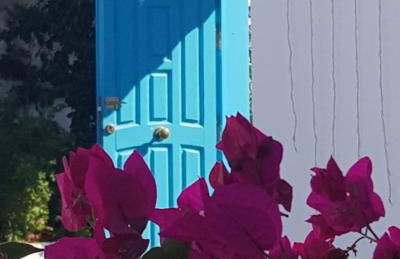 RunWild Hen Party Pool Fun for 12 - Photo 15