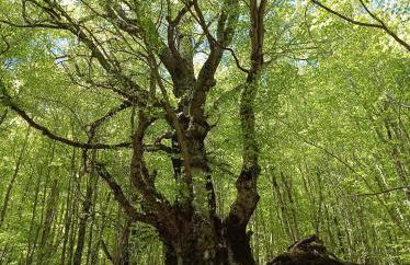 Casetta Angie - Foto 56