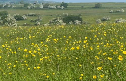 Goatchers Cottage & Goatchers Studio - Foto 14