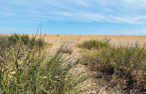 Fabulous Beach Front Holiday Location - Pass the Keys - Photo 22