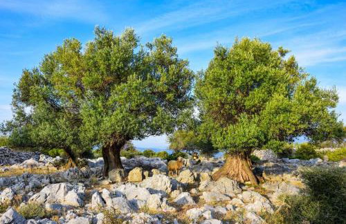 Stanko Sea View - Foto 47