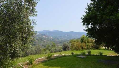 Villa Collebelvedere - Near Rome with Home Restaurant - Foto 5, Garden, Garden view