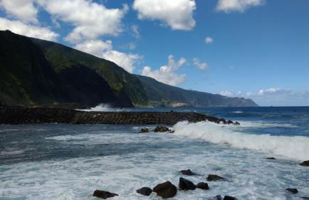 Ape Esquerdo - Foto 31