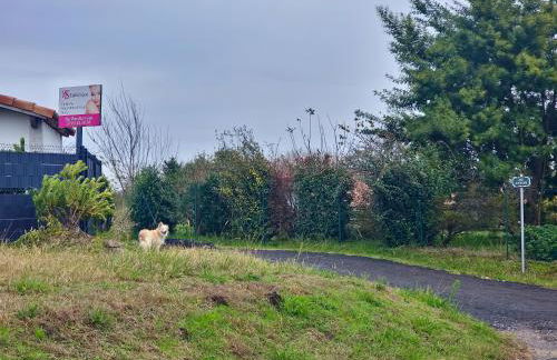 Maison 2/4 personnes - Foto 15