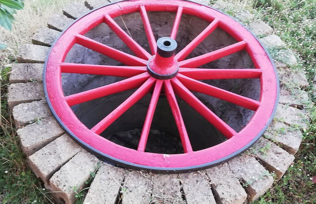 Il Poggiarello Toscano - Photo 32