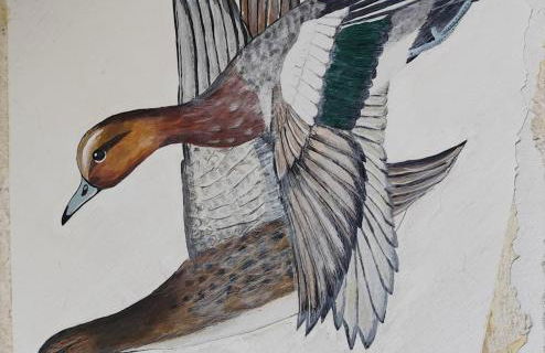 La p'tite camargue - Foto 15