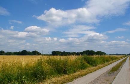 Ferienwohnung Fuchsberge - Foto 24