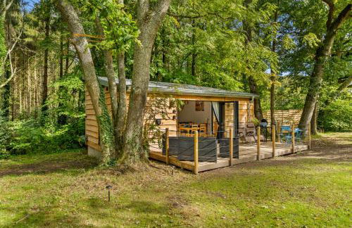 Ivy Cottage Holiday Cabins - Photo 13