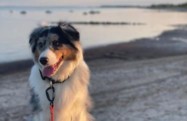 Die lütte Welle Grömitz - Foto 14