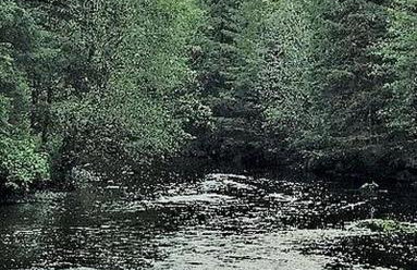 Charming A-Frame Cabin Rental on Prince of Wales Island in Hollis, Alaska - Foto 10