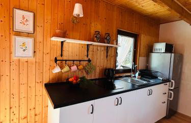 Domek Natura Rybno - Foto 24