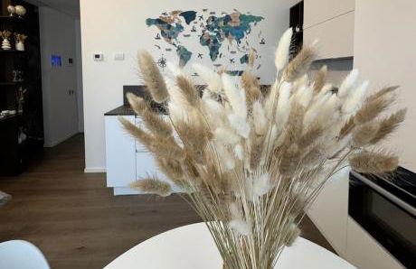 B&B Apartment Luxury Suite - Metropolitana M4- Stadio San Siro - Duomo Milano - Aeroporto Linate - Castello Sforzesco - Foto 14