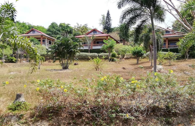 Freedom Estate - Photo 29