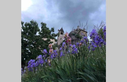 La Maison des Hirondelles Alloggio ad uso turistico - VDA SAINT-PIERRE 0035 - Foto 18