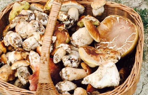 Casa Amiata 2 - Foto 32