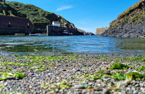 Willow Lodge, Wolfscastle - Foto 38