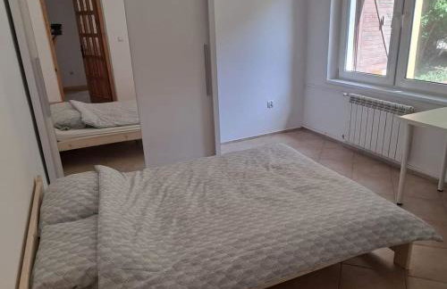 Pluski 10 osobowy Dom PROJEKT PLUSKI nad Jeziorem Pluszne - Foto 19