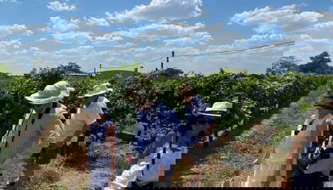 Visita a la bodega Familia Dardanelli - Foto 3