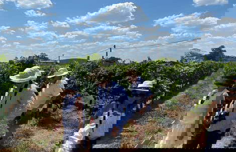 Visita a la bodega Familia Dardanelli - Foto 3