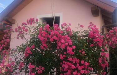 Bice di Casteruggia - Foto 29