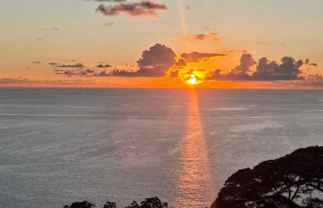 Tropical Secrets Holiday Apartments - Photo 27